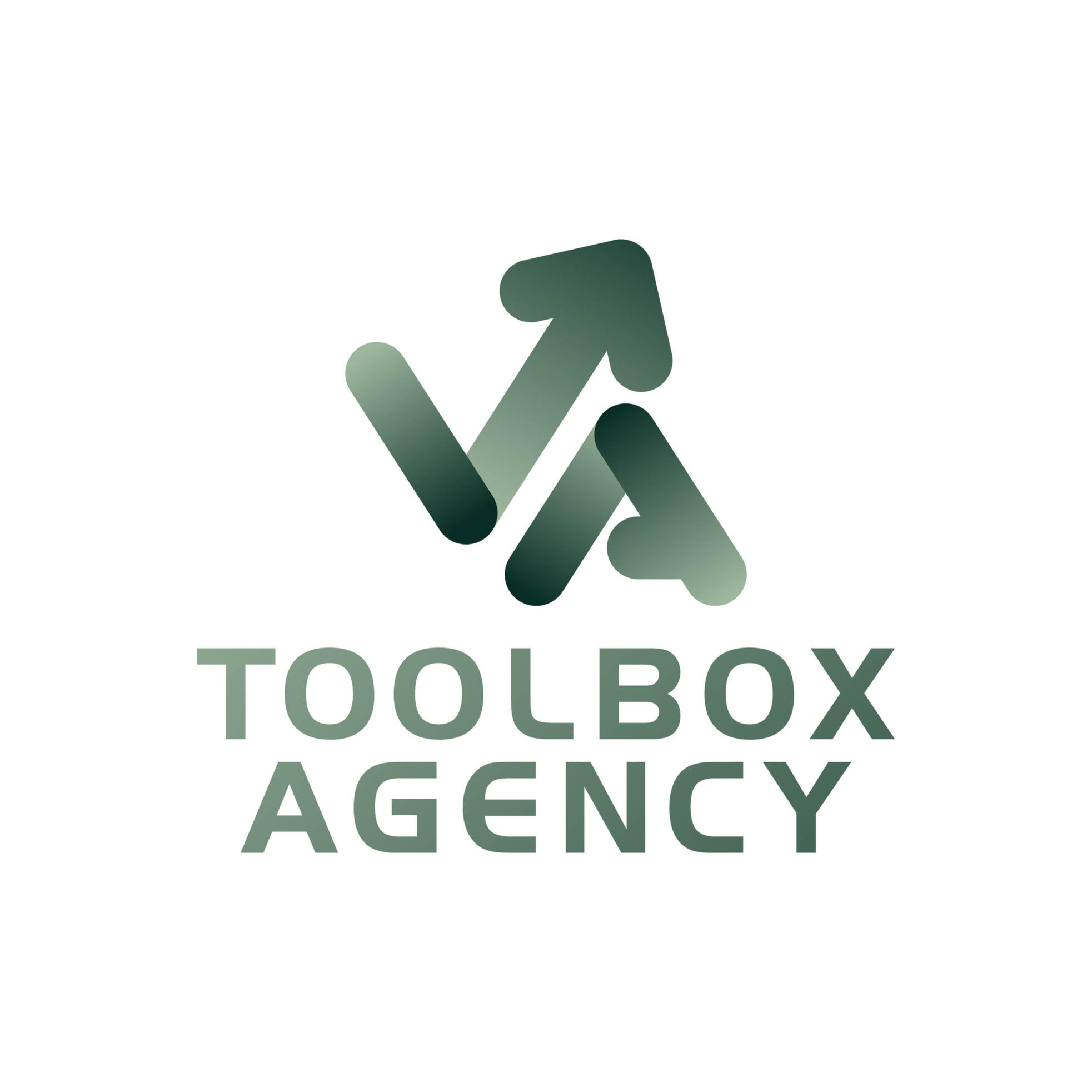VA toolbox logo met foto van mij laptop